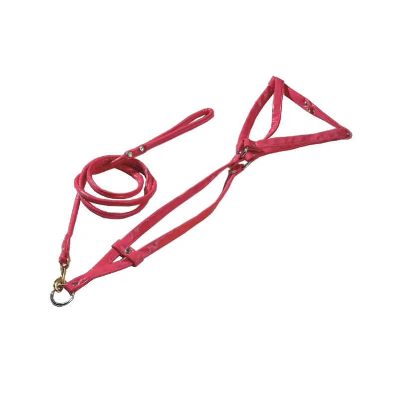 
Hot-sale High Quality dog harness muzzle pin Fashionable Custom-made dog belt dog walking belt 