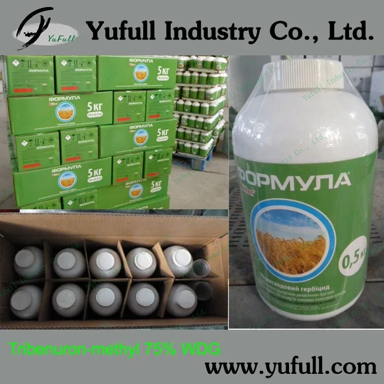 Wheat Herbidies Barley weedicide Tribenuron methyl 75% WDG