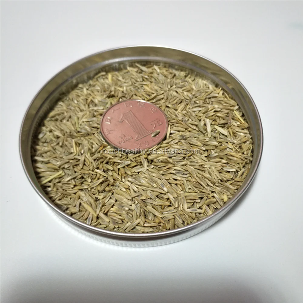 2021 год, поставка Touchhealthy, высокий процент прорастания, семена травы для выращивания