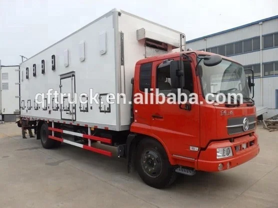 Dongfeng 4x2 Live Baby Chick Poultry Transport Refrigerated Truck for sale