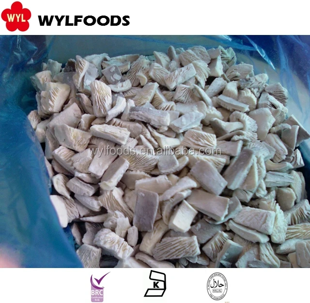 
bulk wholesale Frozen oyster mushroom 