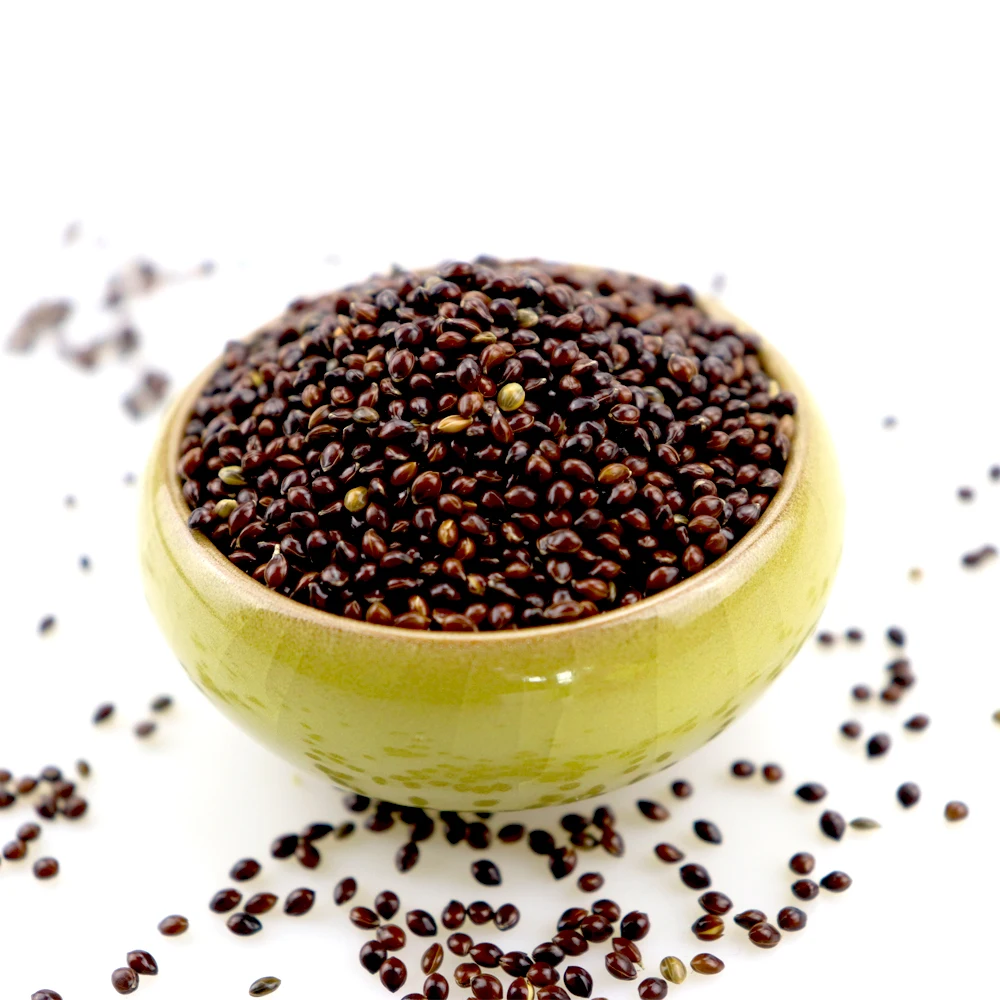 Черная буровая кукуруза, глютиновая рыночная цена