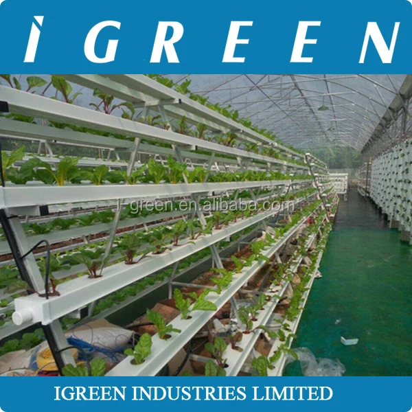 Commercial NFT hydroponics system