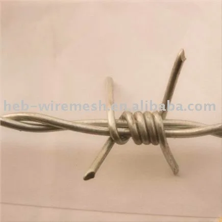 колючая проволока бритвы