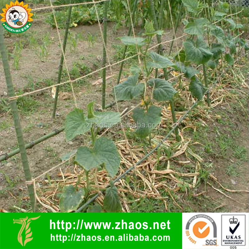 
Plant support agriculture jute net 