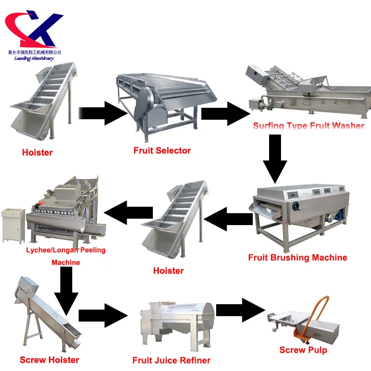 Juicer Equipment For Processing Rambutan And Lychee Fruit Rambutan