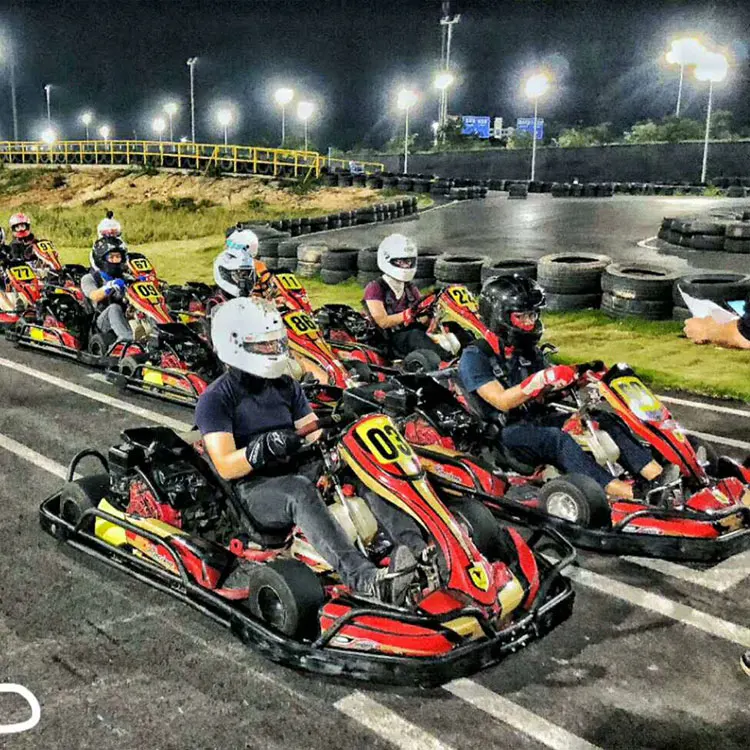 SQ Street Legal 160cc go kart/katring for teenagers with honda engine