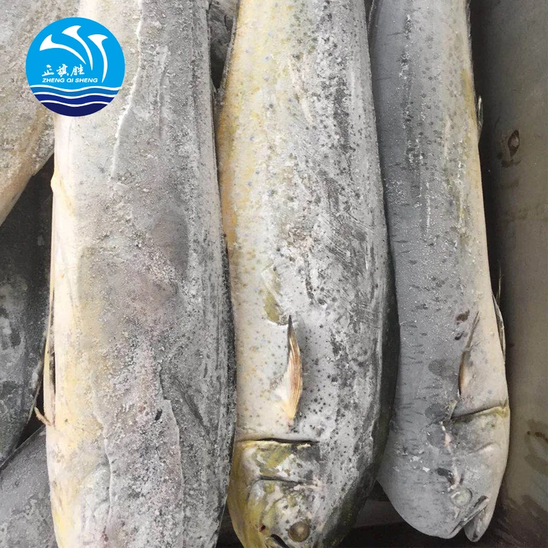 Морепродукты, экспорт замороженной рыбы mahi от китайского поставщика