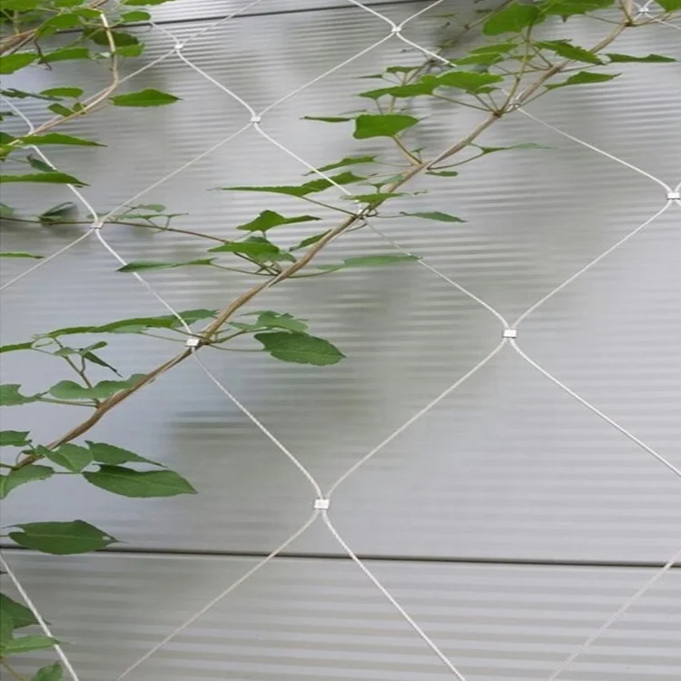 Top quality Flexible SS Wire Rope Plant Trellis / Plant Climbing Green Wall Mesh/Stainless Steel Cable Netting