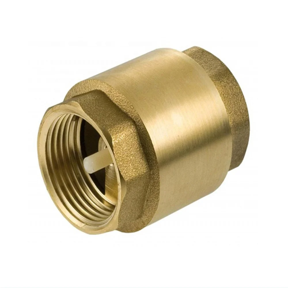 
Otore 1 Inch Brass Spring Check Valve Non Return Valve 