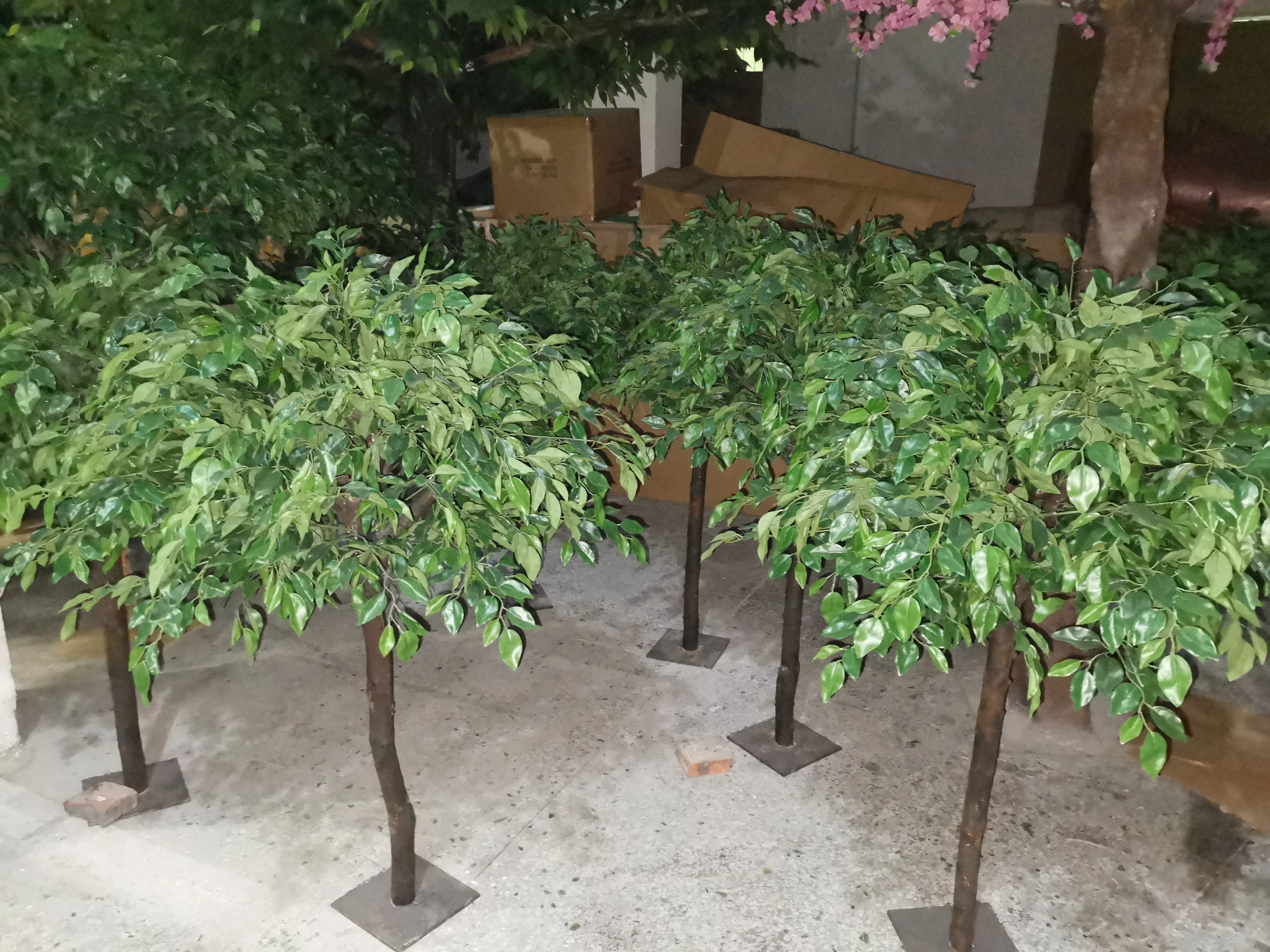 Wholesale indoor wooden artificial mini banyan tree for home decoration