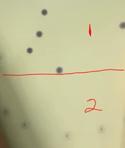 Fiber Coupled Laser Diode Modules