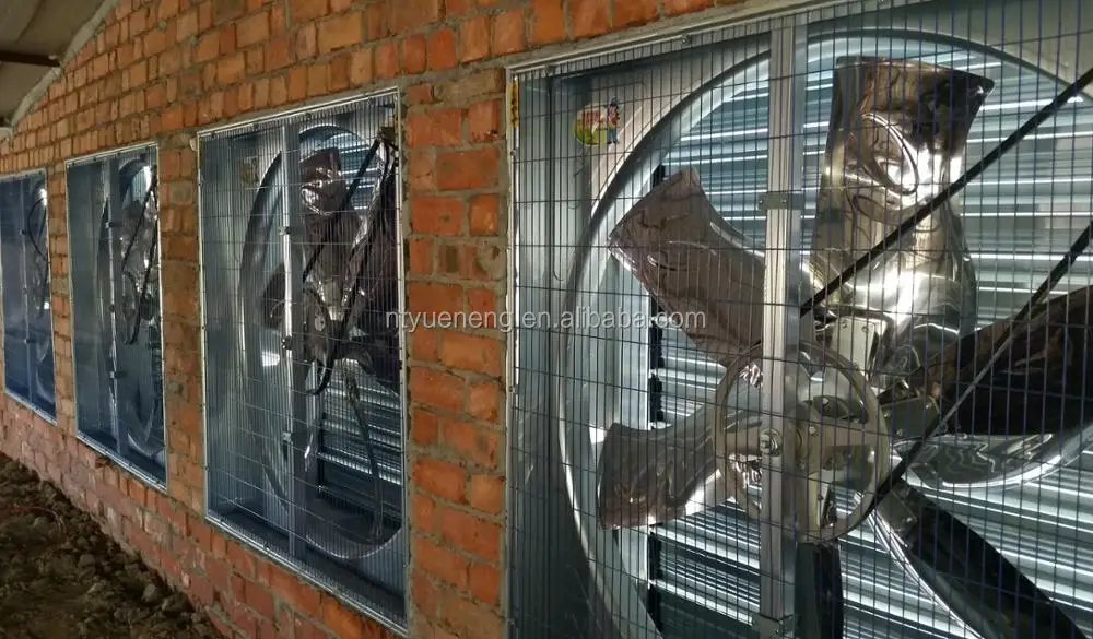 Оборудование для птицефермы или куриного домика вытяжной