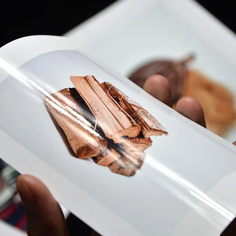 Professional digital RC inkjet glossy luster microporous photo paper