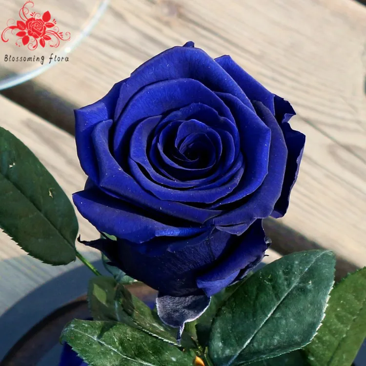 Cheap bulk christmas gifts long lasting real rose flowers forever preserved with stem