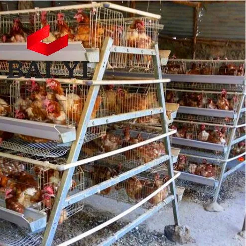 Automatic chicken farm battery cages laying hens for poultry equipment