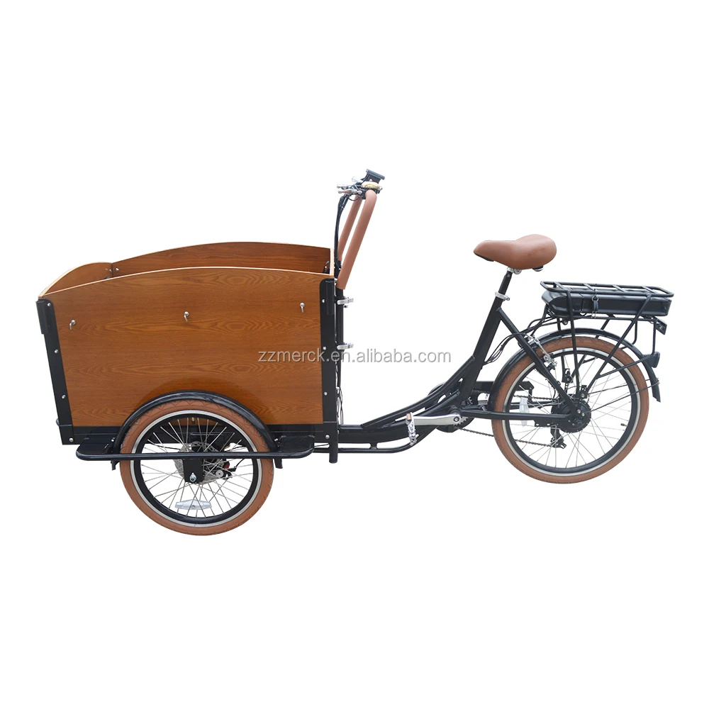 Быстрая доставка от двери до двери доставка дешевая 3-х колесный Семейные Электрический грузовой велосипед с мотором на корзина для хранения