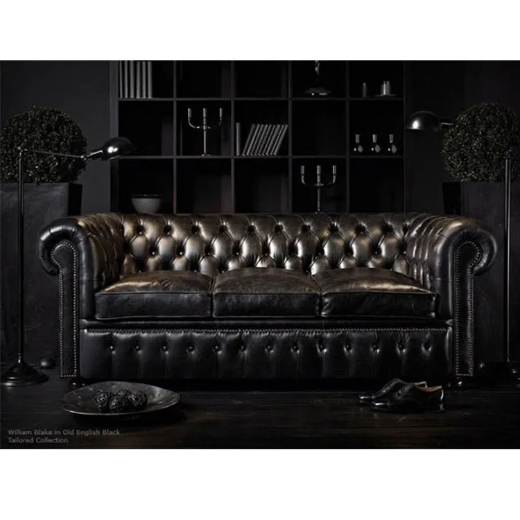 European Style living room italy leather sofa/chesterfield sofa/modern sofa