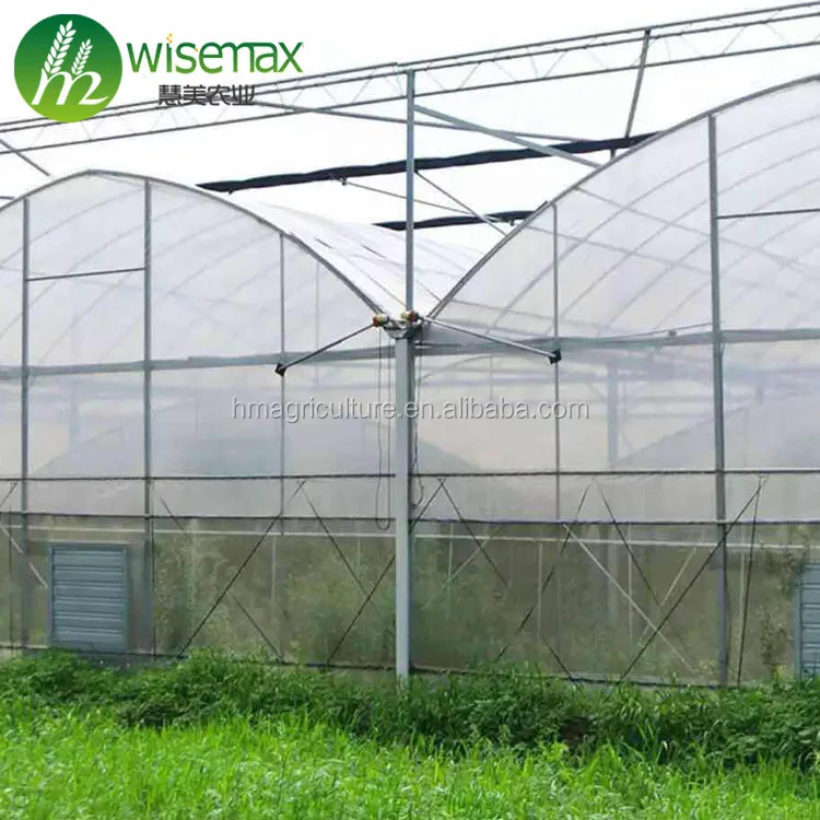 High Quality Agriculture Multi Span Plastic Film Greenhouse