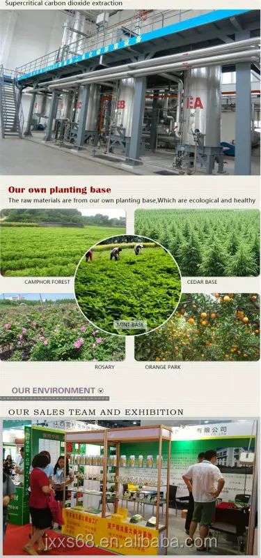 100% Cold Pressed grape seed oil organic for lip oil