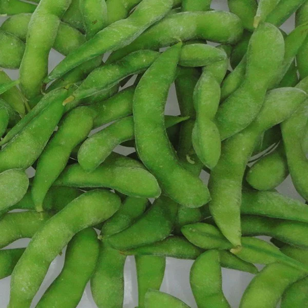 
frozen IQF Edamame and soya beans with BRC certificate 