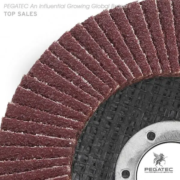 PEGASTAR 125x22mm flap disc for metal and steel with MPA certification
