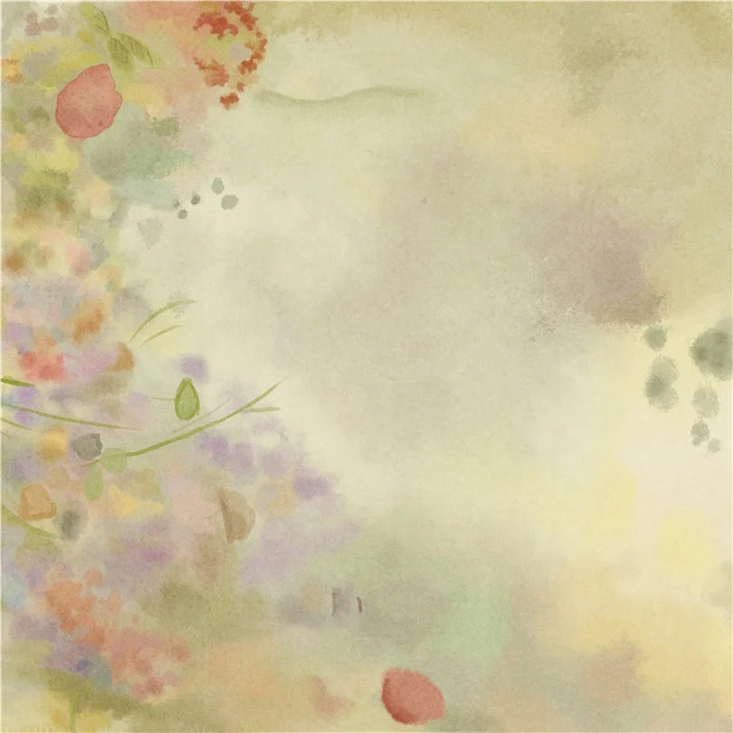 wholesale photography supplies