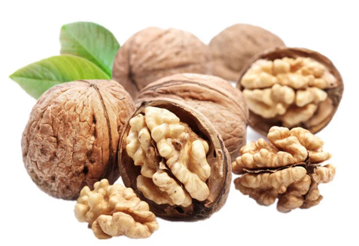 europe natural walnut