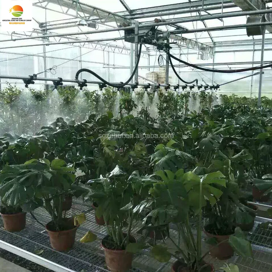 Multi-span intelligent commercial glass greenhouse