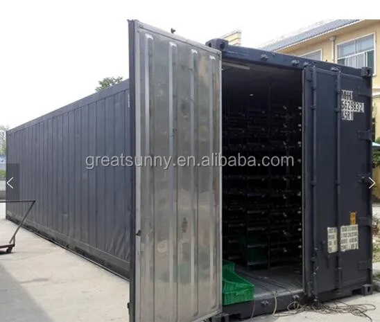 1tons fooder per day container type hydroponic system/fodder grass machine