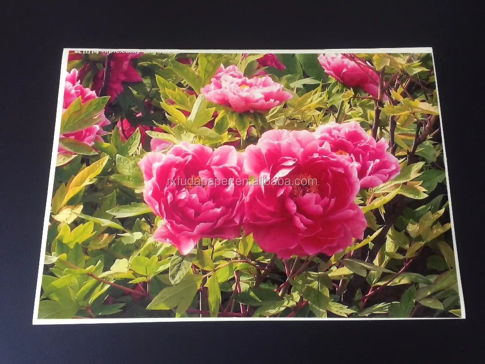 
Transparent PET/PVC inkjet printable label sheet for inkjet printer,210mm x 297mm,100sheets/bag 