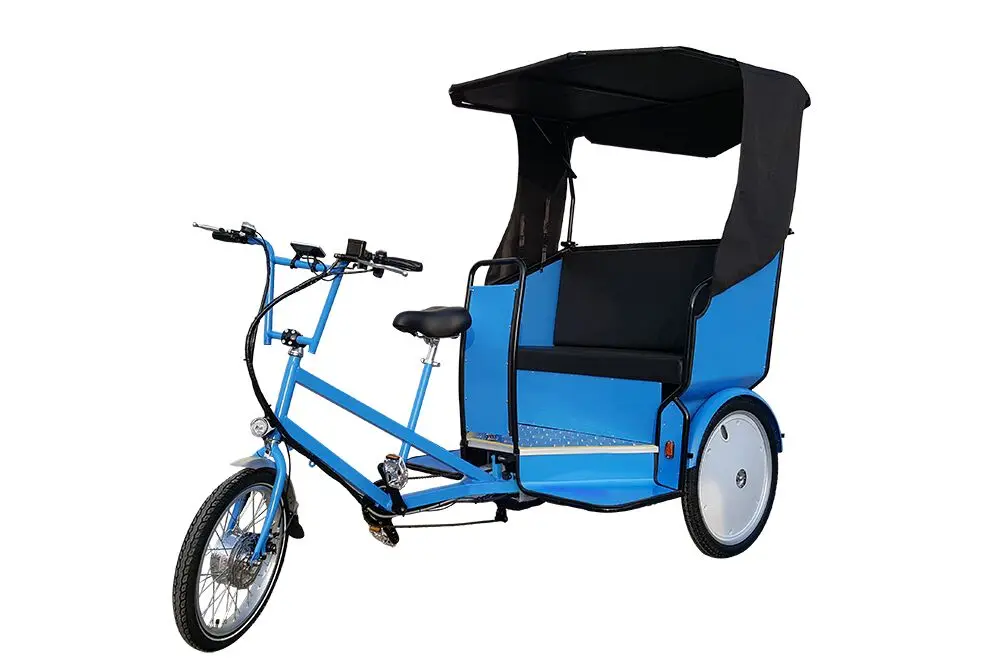 Hot sale 2 Passengers Mini Taxi Electric Assistant Touring Pedicab Rickshaw