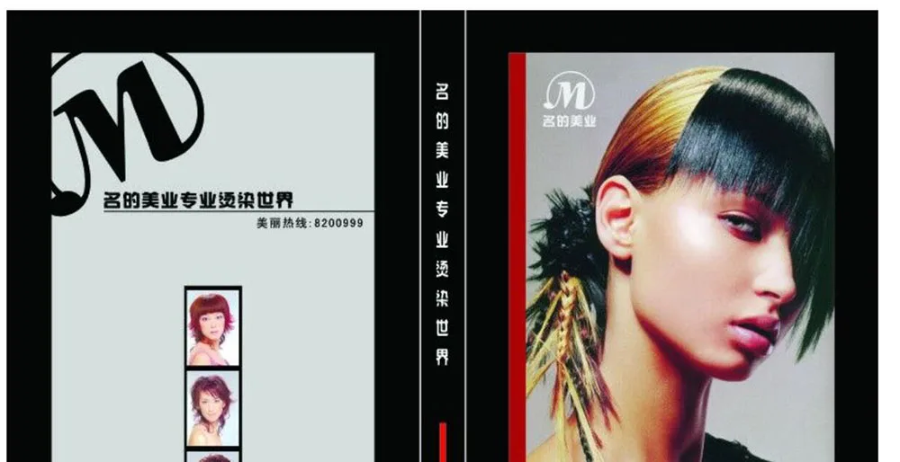 Пользовательская печать журнала vogue