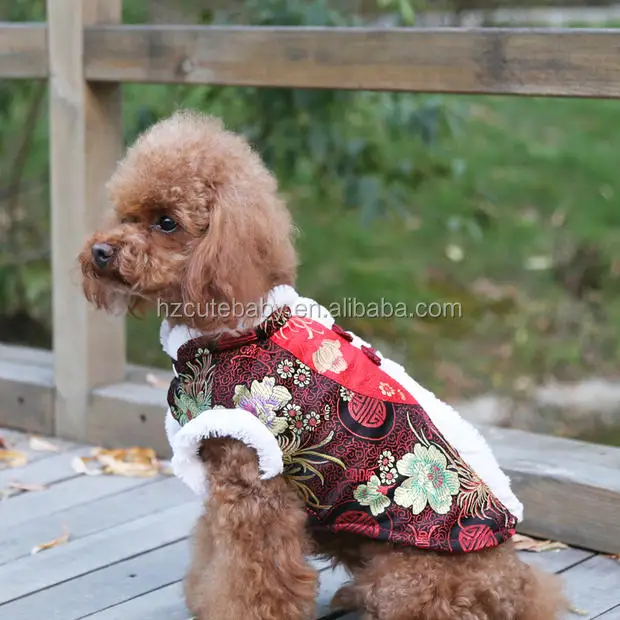 winter male dog tang suits