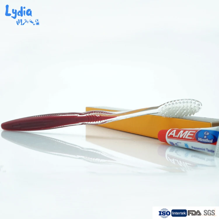 Disposable toothbrush and toothpaste in one