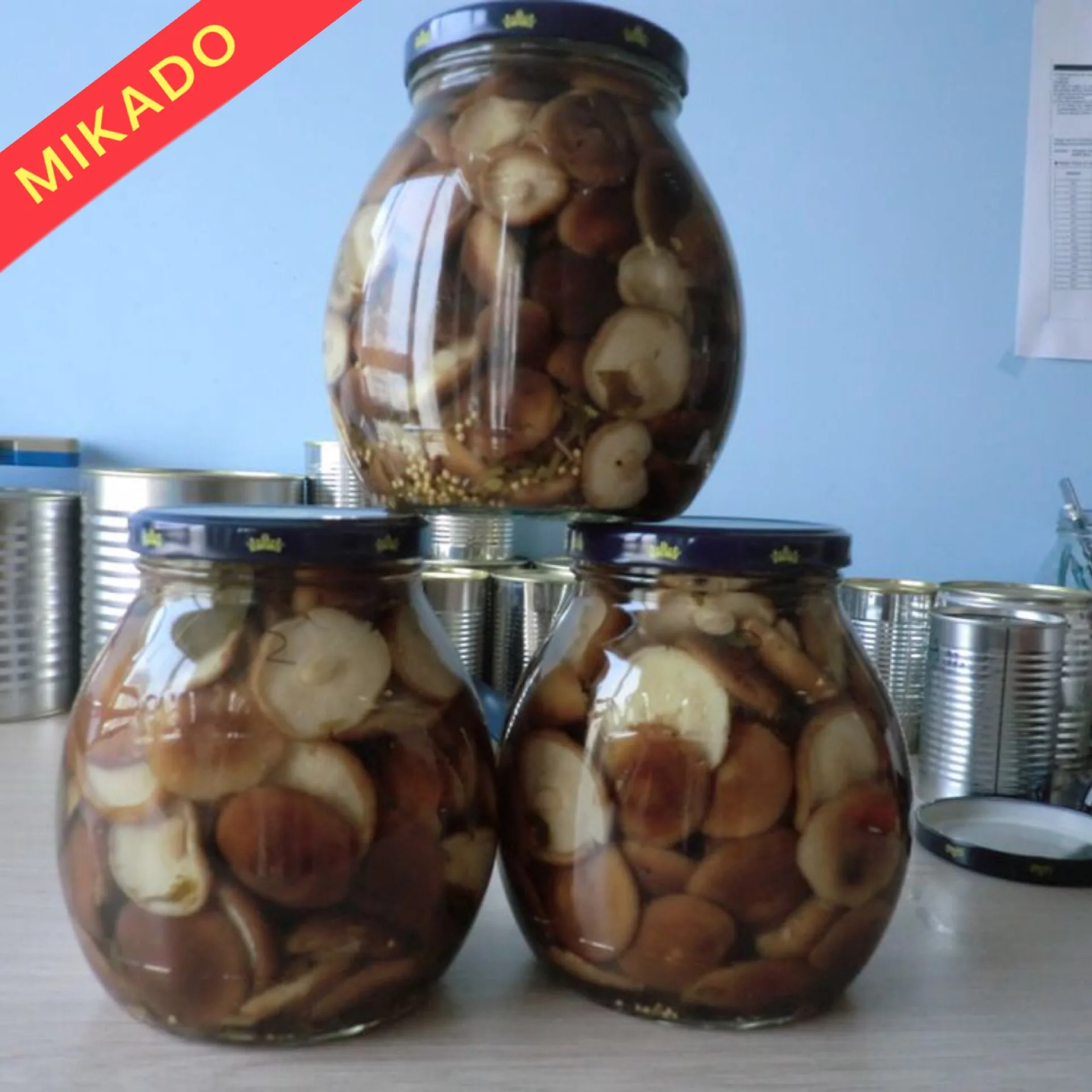 China canned shiitake mushroom marinated in brine with low price of good quality