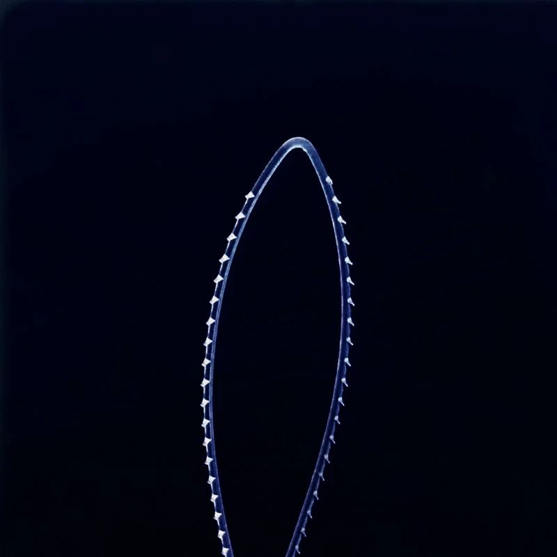 pcl_