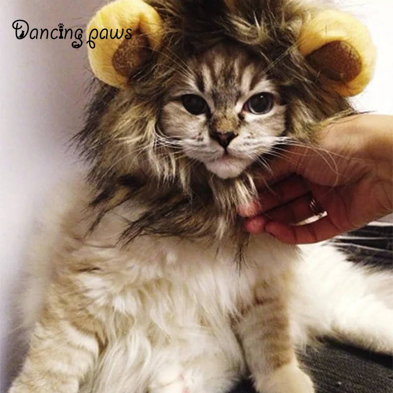 Wholesale Cat Lion Panda Mickey Mane Wig Cat Costume Hat Hair Cat Pet Puppy Cosplay Wig