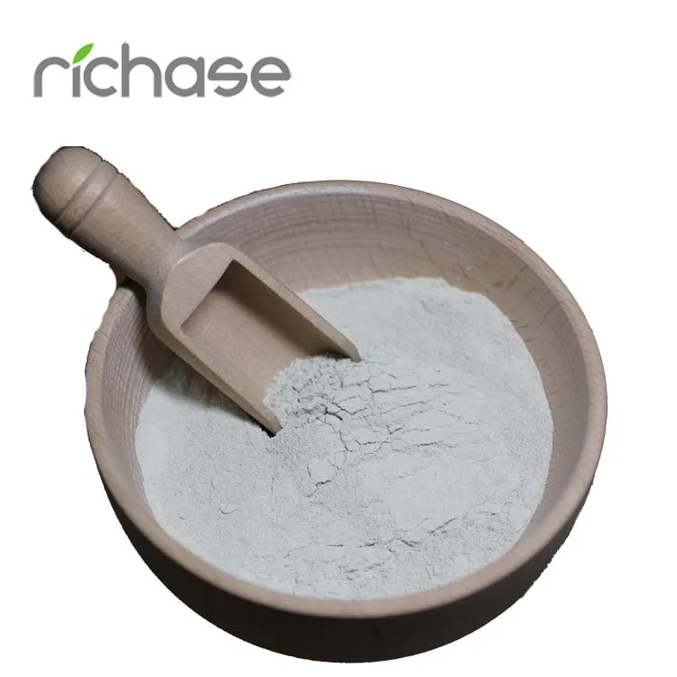 Wholesale Price Ferrous Sulphate For Plants Powder Monohydrate China Factory