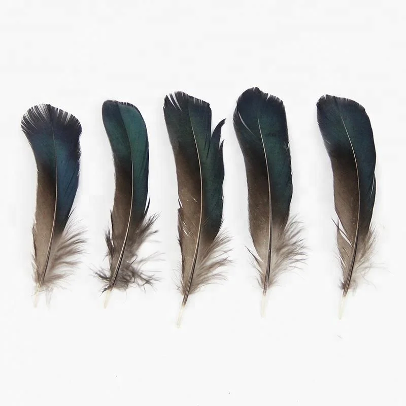 4-6 дюймов (10-15 см), оптовая продажа, высокое качество, натуральное, маленького размера, синее дамское перо фазана