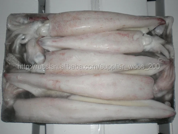 быстрозамороженные оптом круглый Калифорния Loligo кальмар