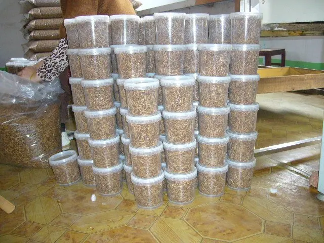 
High nutrient Bird food & fish food dried mealworms 