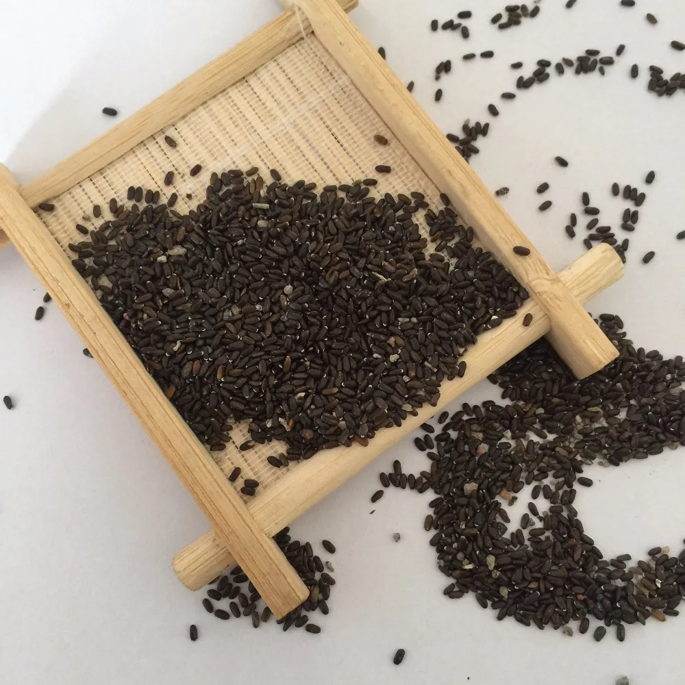 
S421 Xun yi cao High Germination Lavandula Angustifolia Seeds for Planting 