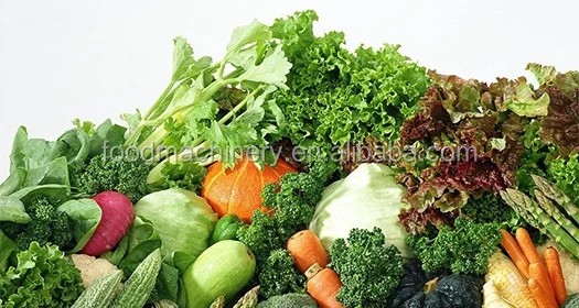 Chinese factory fruit and vegetable brush washer frozen production line machinery with high performance