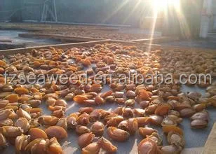 Dry Seafood Abalone Dried Abalone For Sale