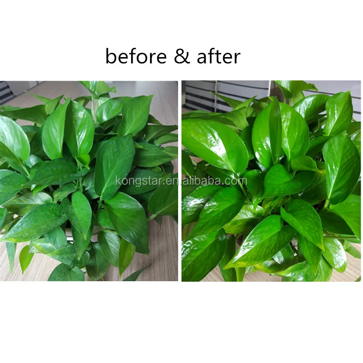 400ml Aerosol Leaf Shine Spray for Plant and Foliage