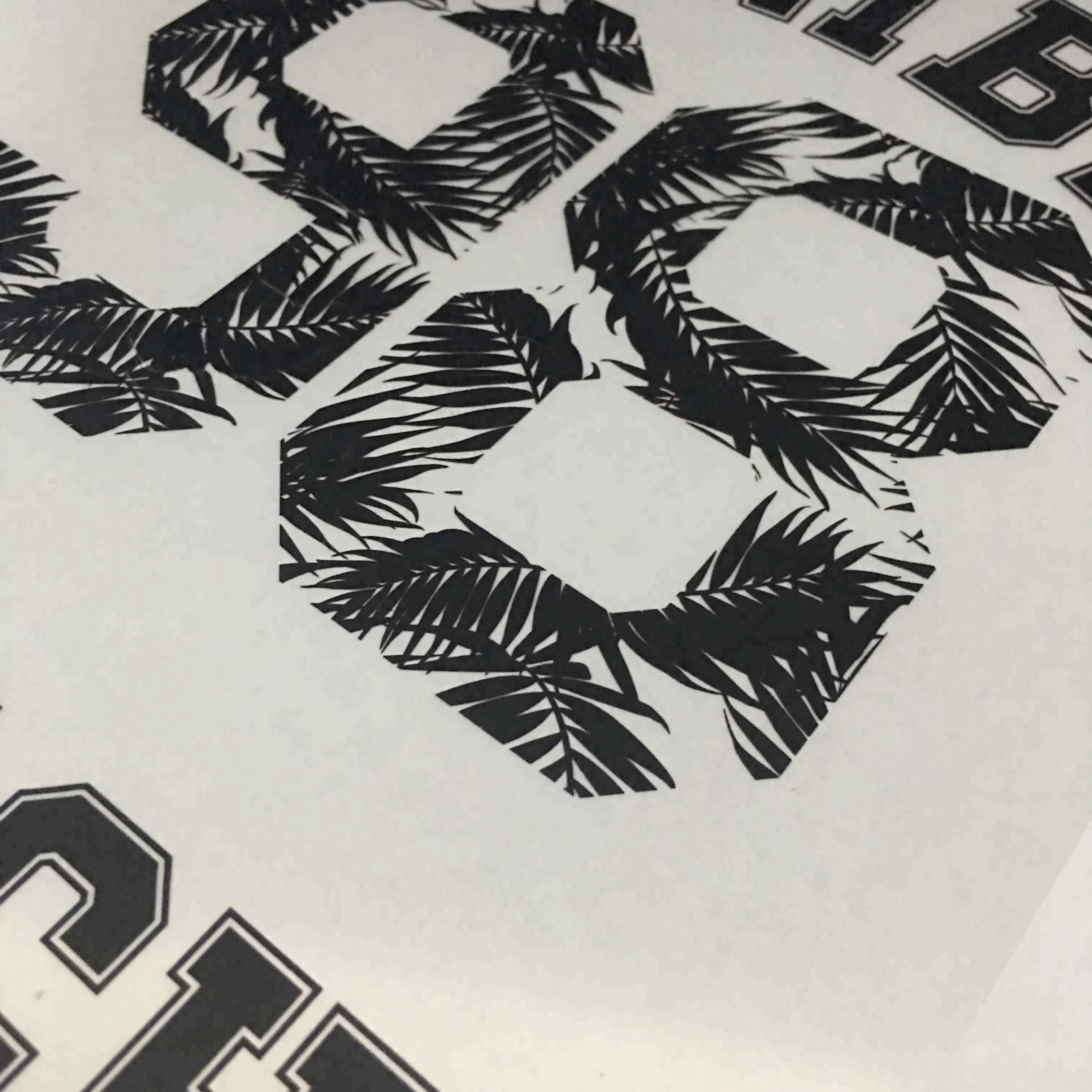 Waterproof Dye And Pigment Inks Printing Clear PET Inkjet Film For Positive Screen Printing Transparent