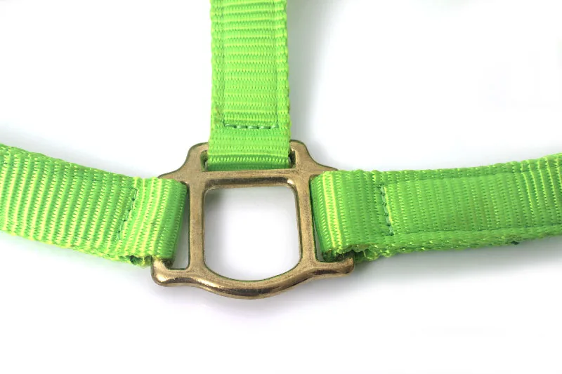 Traditional Wholesale Colorful Adjustable Nylon Horse Halter Accessories for Horses