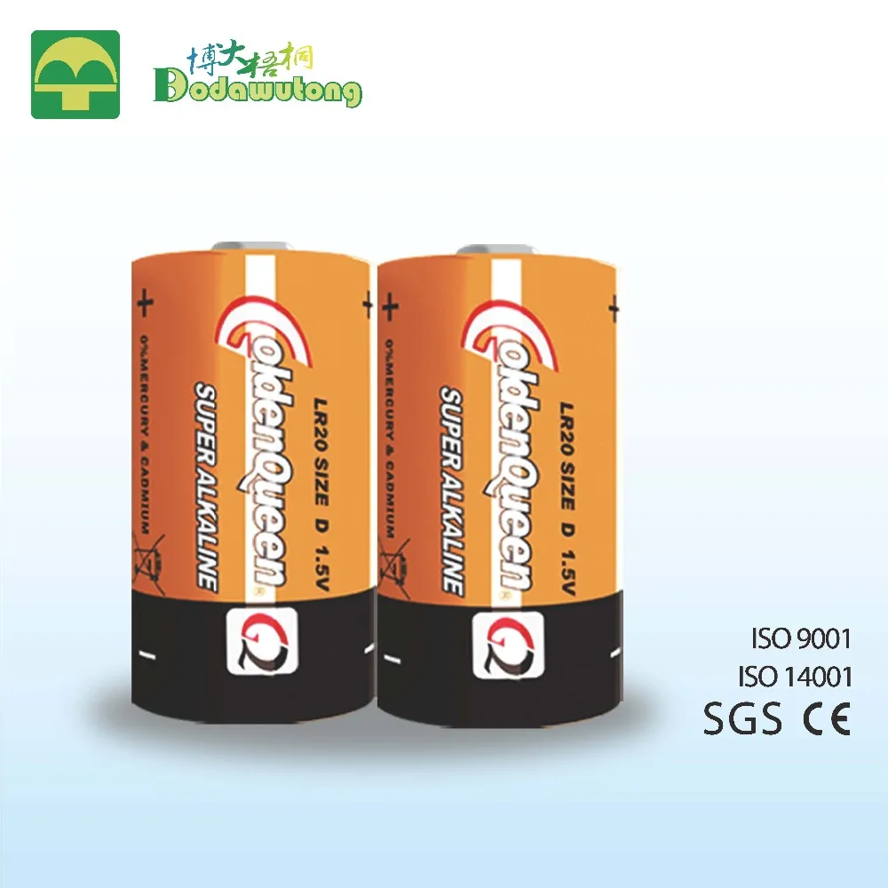 
D size Alkaline battery 