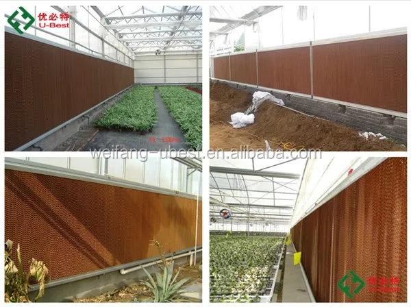  Фабрика автоматическое оборудование птицефабрика подойдут большие фермы